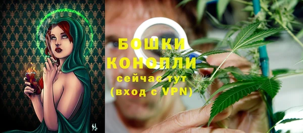 ГАЛЛЮЦИНОГЕННЫЕ ГРИБЫ Балабаново